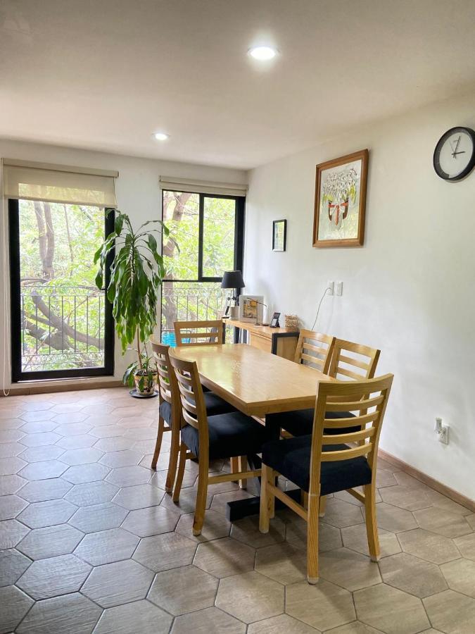Apartment With Terrace Down Town Meksyk Zewnętrze zdjęcie